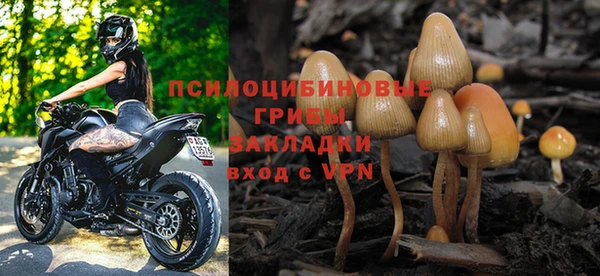 прущие крисы Алексеевка