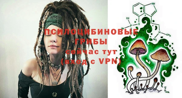 винт Алексин