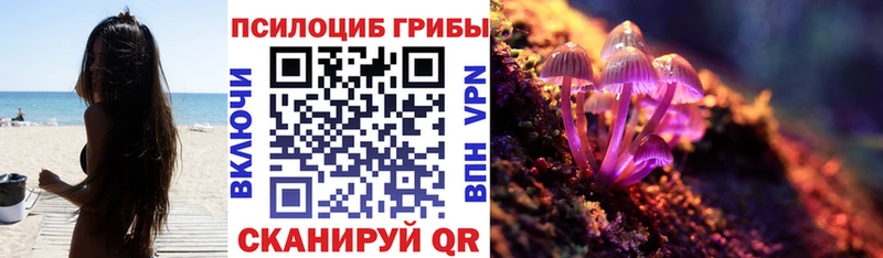 ссылка на мегу зеркало  Александровское  Псилоцибиновые грибы GOLDEN TEACHER  наркошоп 